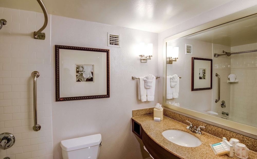 Hilton Garden Inn Tampa Ybor Historic District — Hotel rooms in Tampa, Florida