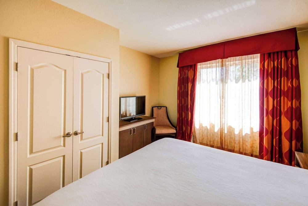 Hilton Garden Inn Tampa Ybor Historic District — Hotel rooms in Tampa, Florida