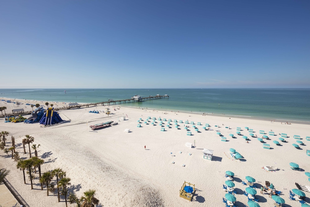 Hilton Clearwater Beach Resort & Spa — Beach in Clearwater, Florida