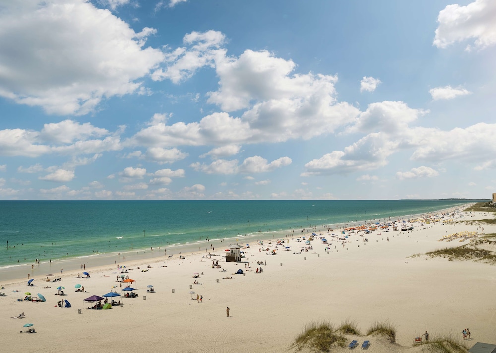 Hilton Clearwater Beach Resort & Spa — Beach in Clearwater, Florida