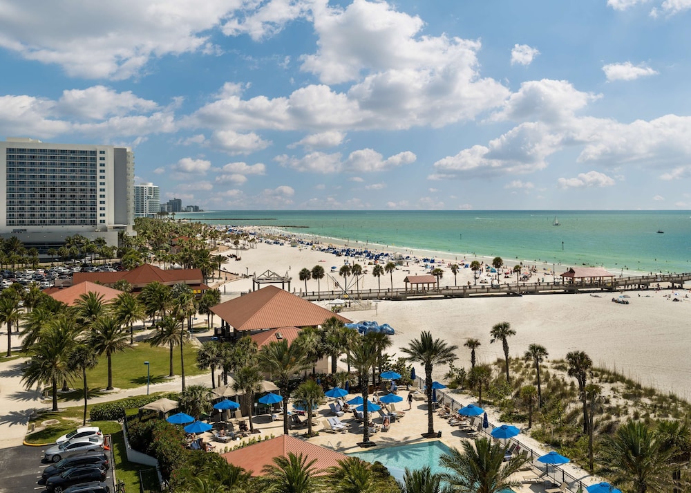 Hilton Clearwater Beach Resort & Spa — Beach in Clearwater, Florida