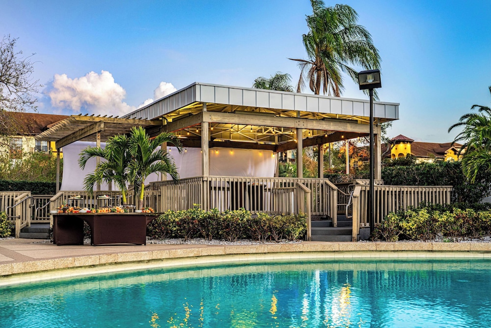 Hilton Tampa Airport Westshore — Swimming pool in Tampa, Florida