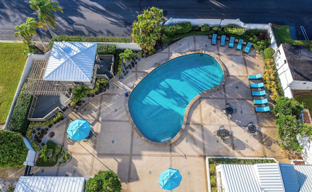 Hilton Tampa Airport Westshore — Swimming pool in Tampa, Florida