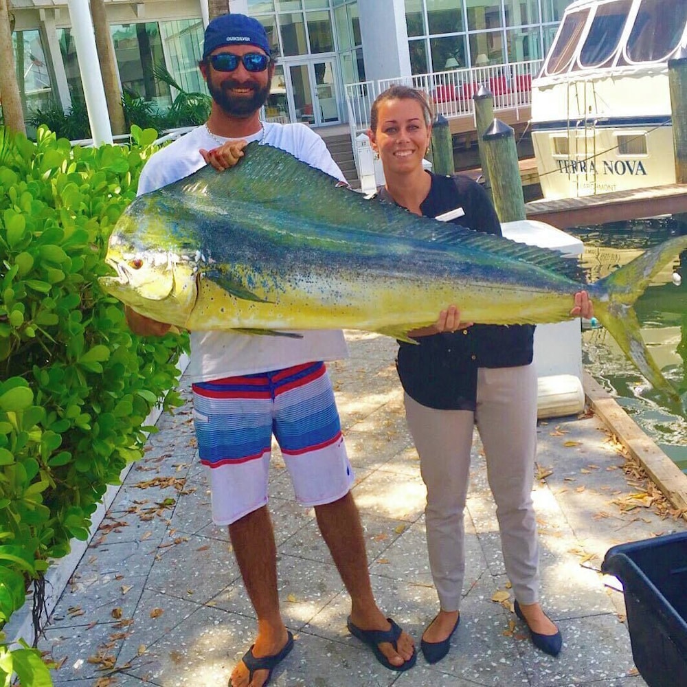 Hilton Fort Lauderdale Marina — Sports & recreation in Fort Lauderdale, Florida