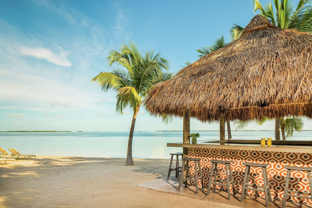 Baker's Cay Resort Key Largo, Curio Collection by Hilton — Beach in Key Largo, Florida