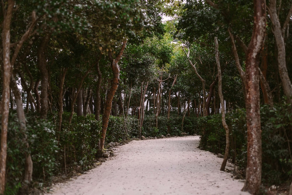 Baker's Cay Resort Key Largo, Curio Collection by Hilton — Attractions in the area in Key Largo, Florida