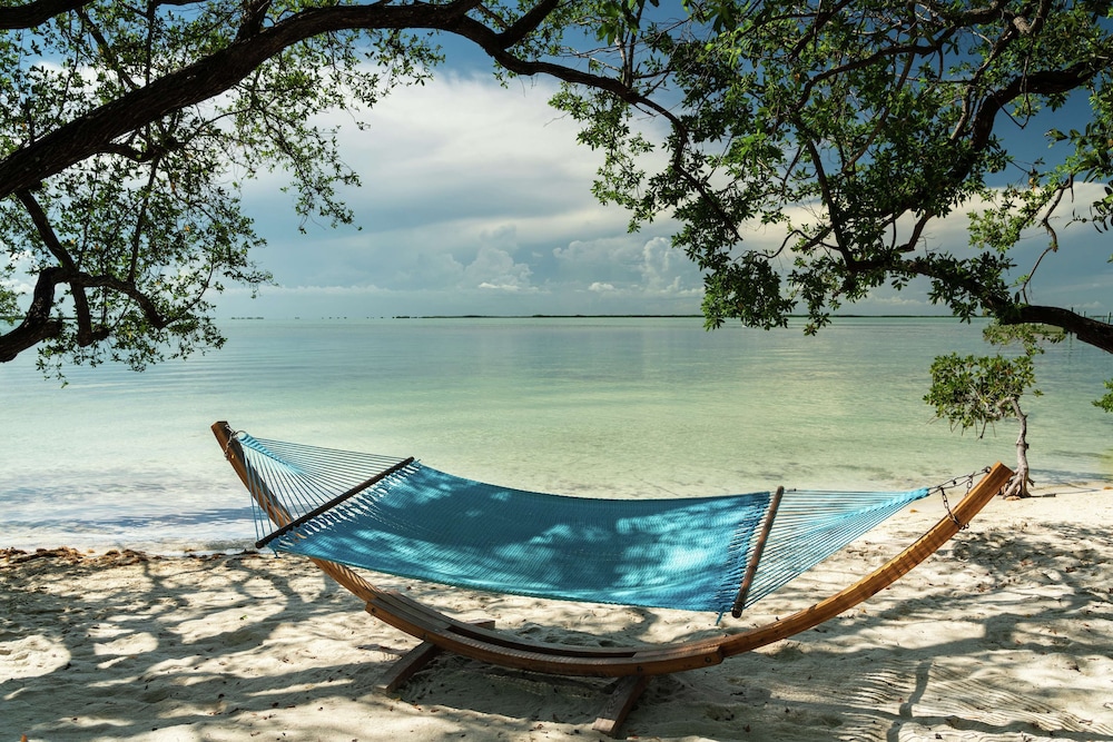 Baker's Cay Resort Key Largo, Curio Collection by Hilton — Beach in Key Largo, Florida