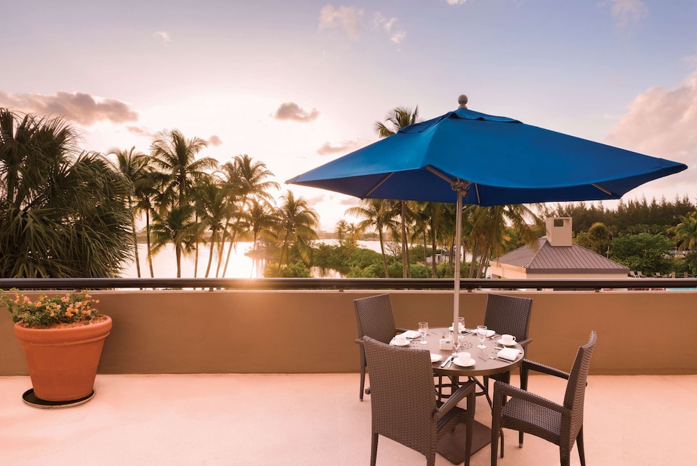 Hilton Miami Airport Blue Lagoon — Restaurant & bars in Miami, Florida