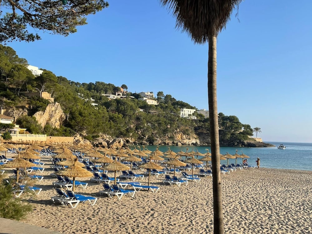 The Camp de Mar Hotel & Resort — Beach in Andratx, Balearic Islands