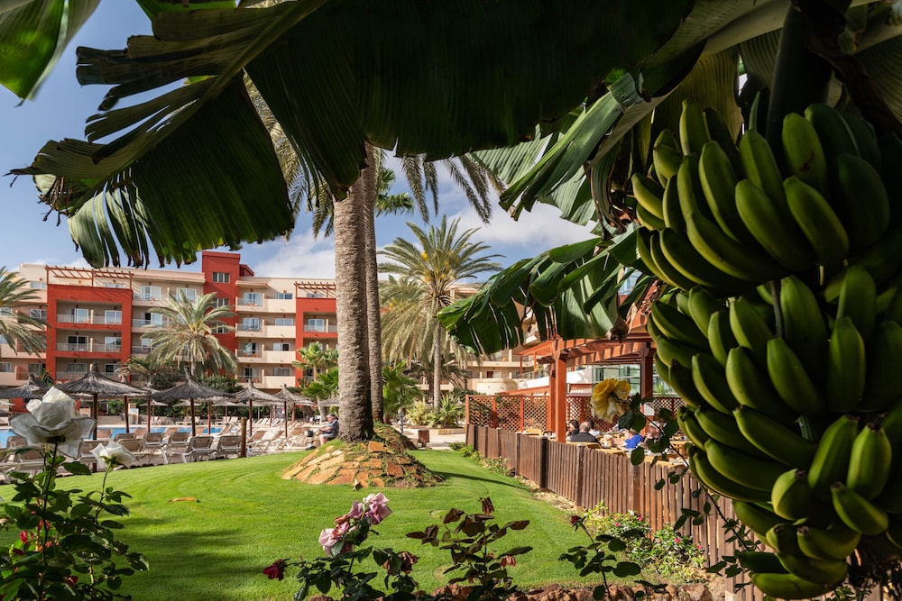 Elba Carlota Beach & Golf Resort — Hotel building in Costa de Antigua, Canary Islands