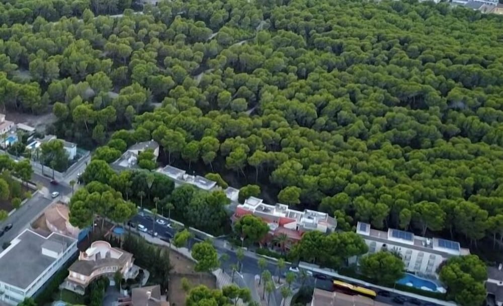 Es Baulo Petit Hotel — Attractions in the area in Can Picafort, Balearic Islands