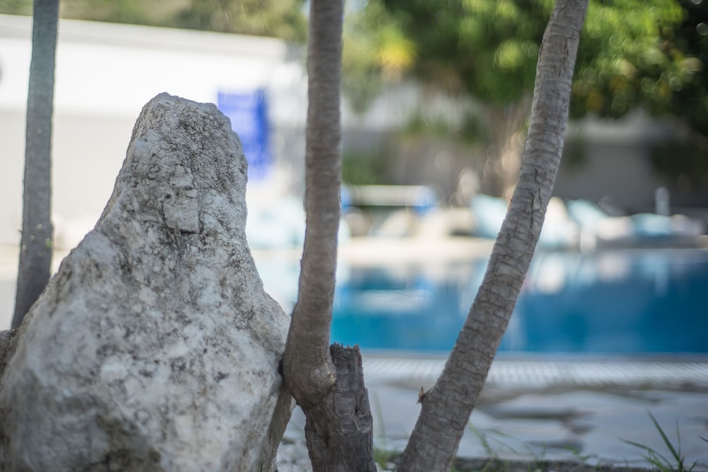 Anika Studios — Swimming pool in Faliraki, South Aegean