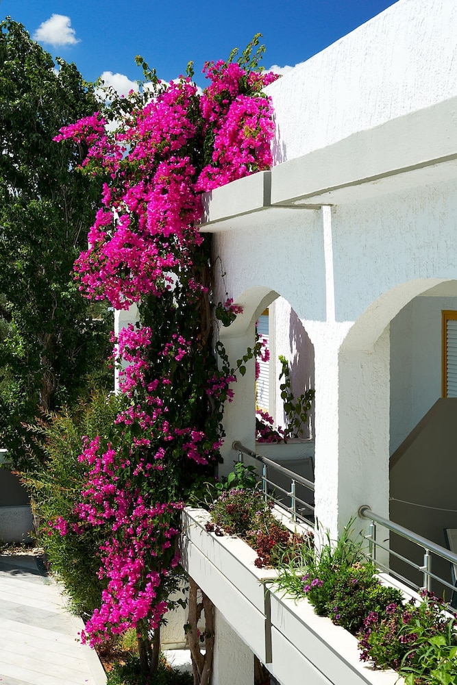 Apollon Hotel Apartments — Hotel building in Rethymnon