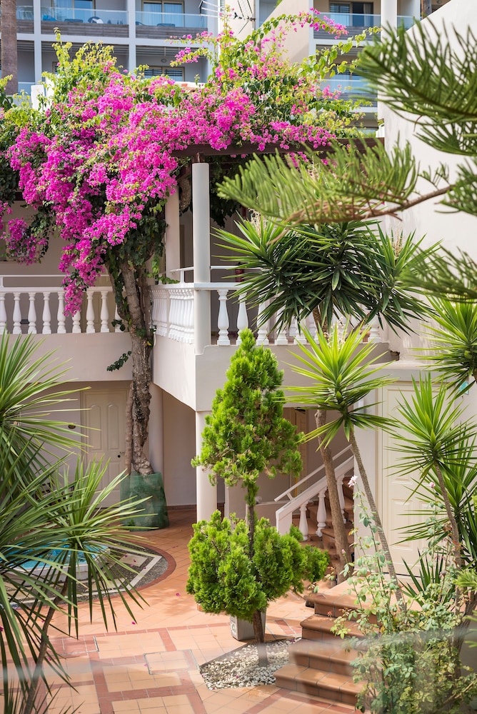 Elotis Suites — Hotel building in Chania