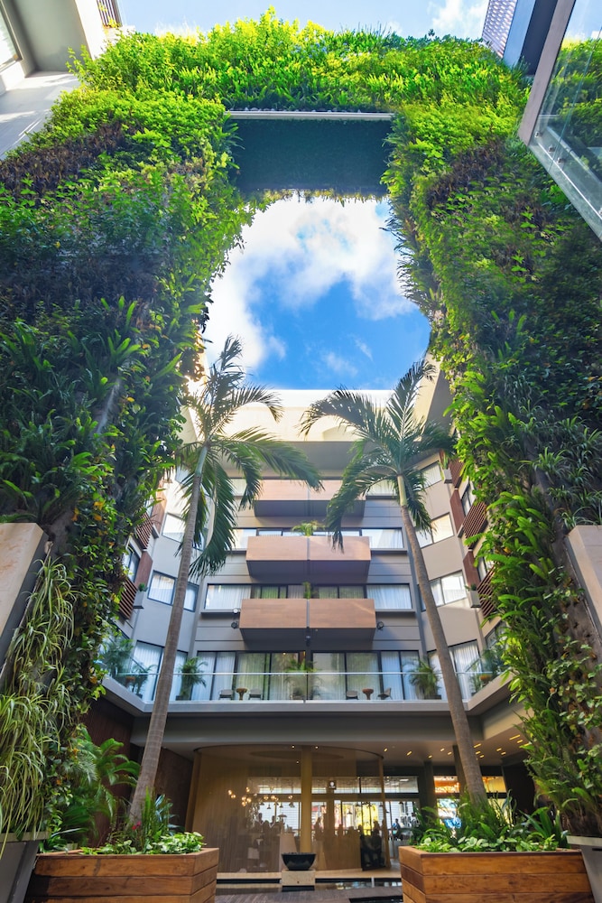 The Fives Downtown Hotel - Curio Collection by Hilton — Hotel building in Playa del Carmen, Quintana Roo