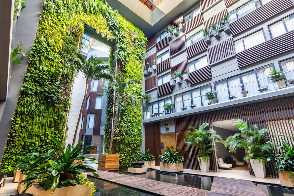 The Fives Downtown Hotel - Curio Collection by Hilton — Hotel building in Playa del Carmen, Quintana Roo