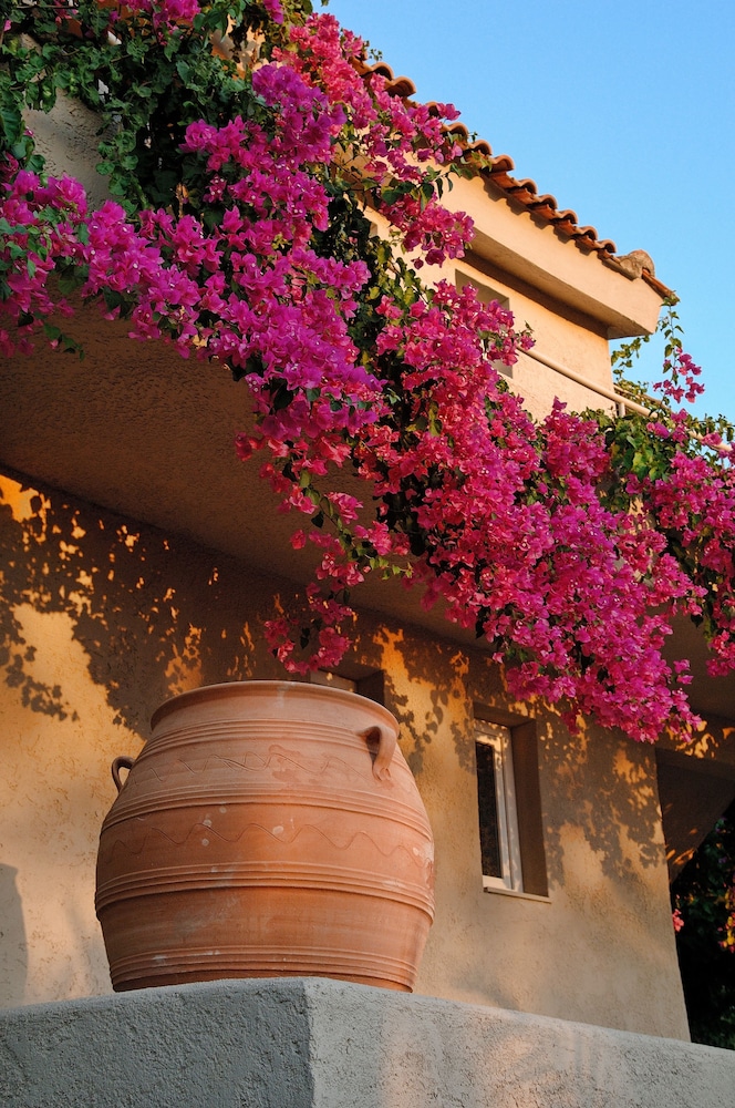 Paradise Island Villas — Hotel building in Hersonissos