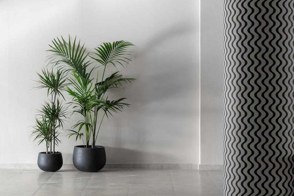 Paralos Rodos Lifestyle — Hotel building in Kolymbia, South Aegean