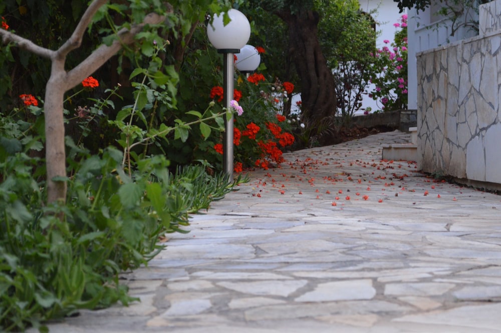 Nikos Apartments — Attractions in the area in Stalida