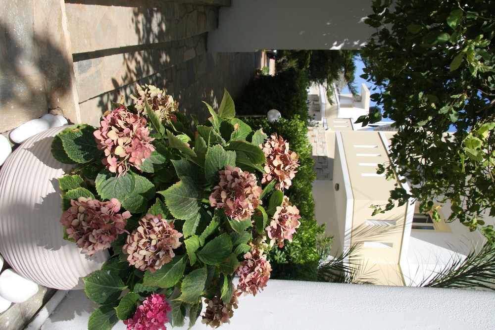 Nikos Apartments — Hotel building in Stalida