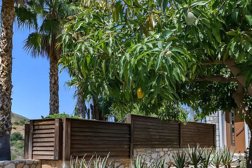 The Noverian Scenic Crete 5 Star Hilltop Villa Resort & Spa — Attractions in the area in Malia