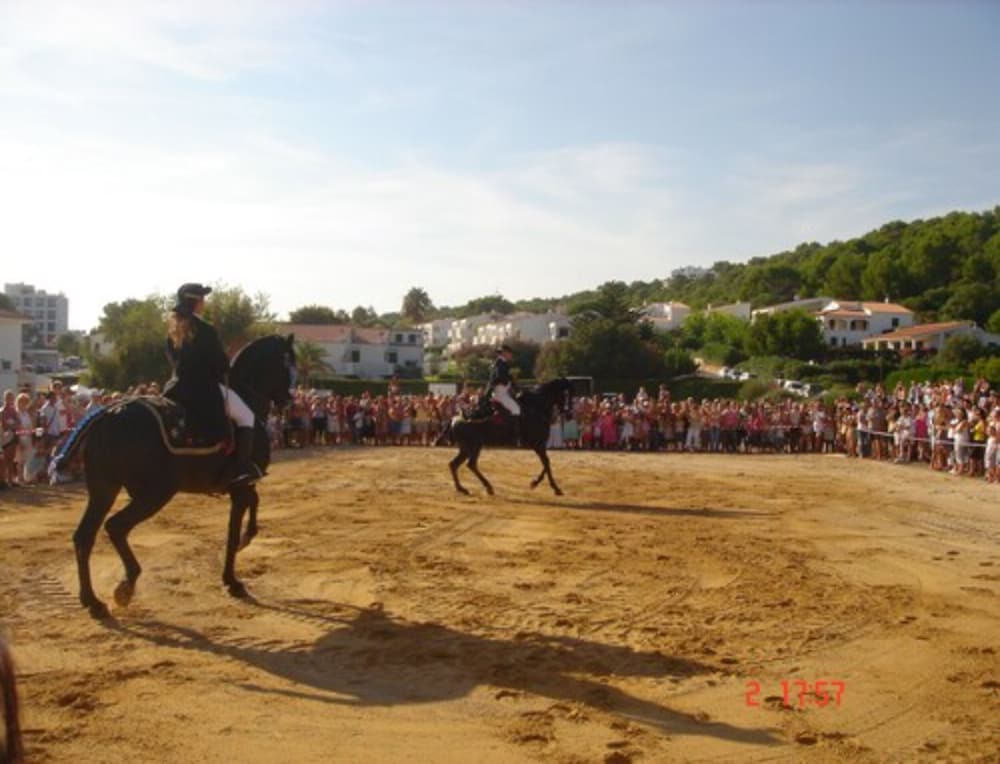 Hamilton Court  Apartamentos — Attractions in the area in Santo Tomas, Balearic Islands