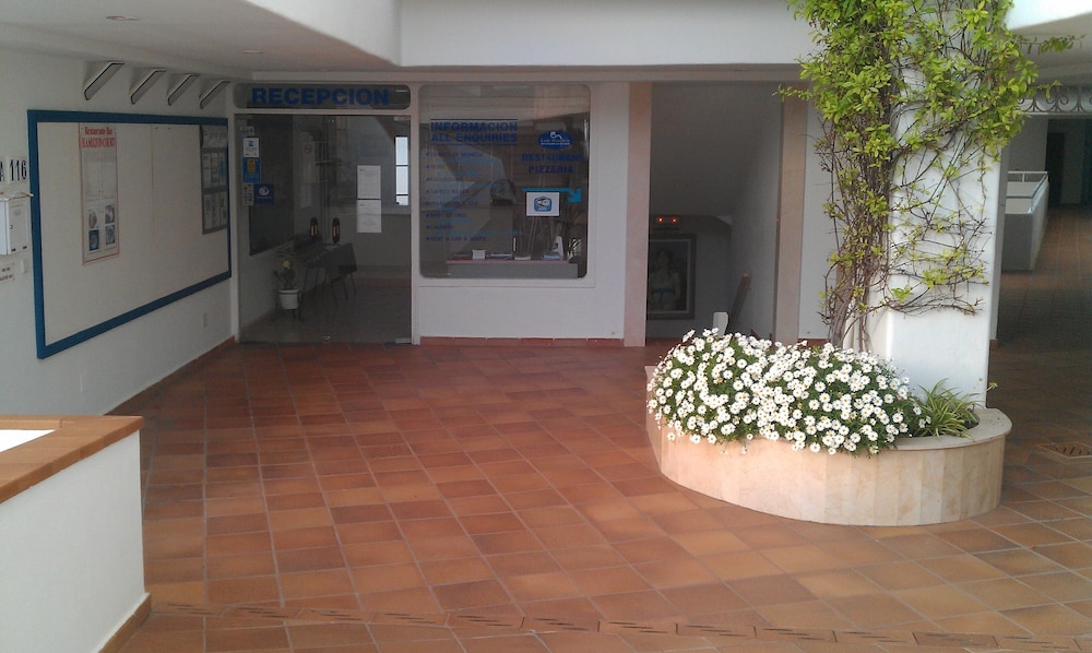 Hamilton Court  Apartamentos — Hotel building in Santo Tomas, Balearic Islands