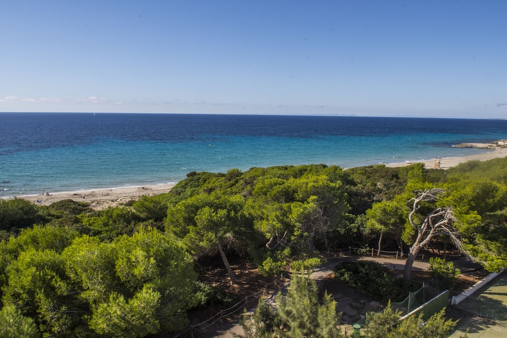 Hamilton Court  Apartamentos — Beach in Santo Tomas, Balearic Islands