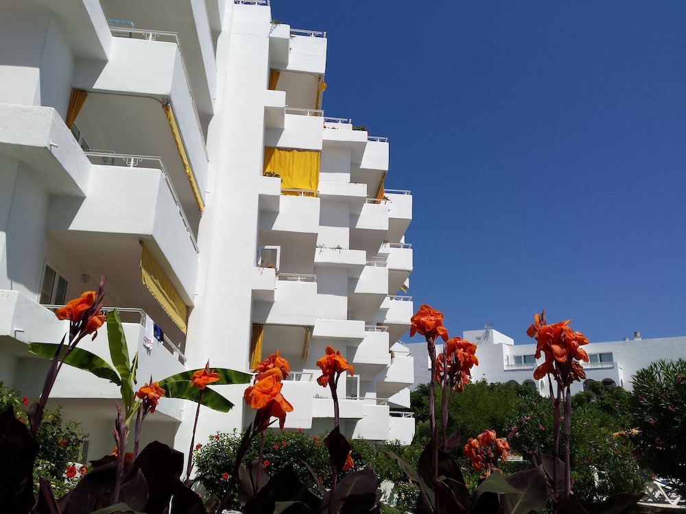 Hamilton Court  Apartamentos — Hotel building in Santo Tomas, Balearic Islands