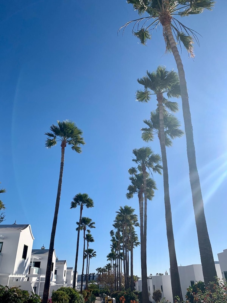 Hyde Park Lane — Beach in Puerto del Carmen, Canary Islands