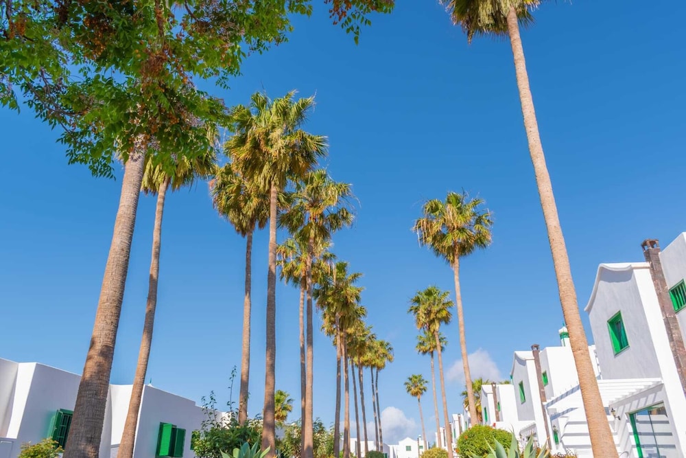 Hyde Park Lane — Attractions in the area in Puerto del Carmen, Canary Islands