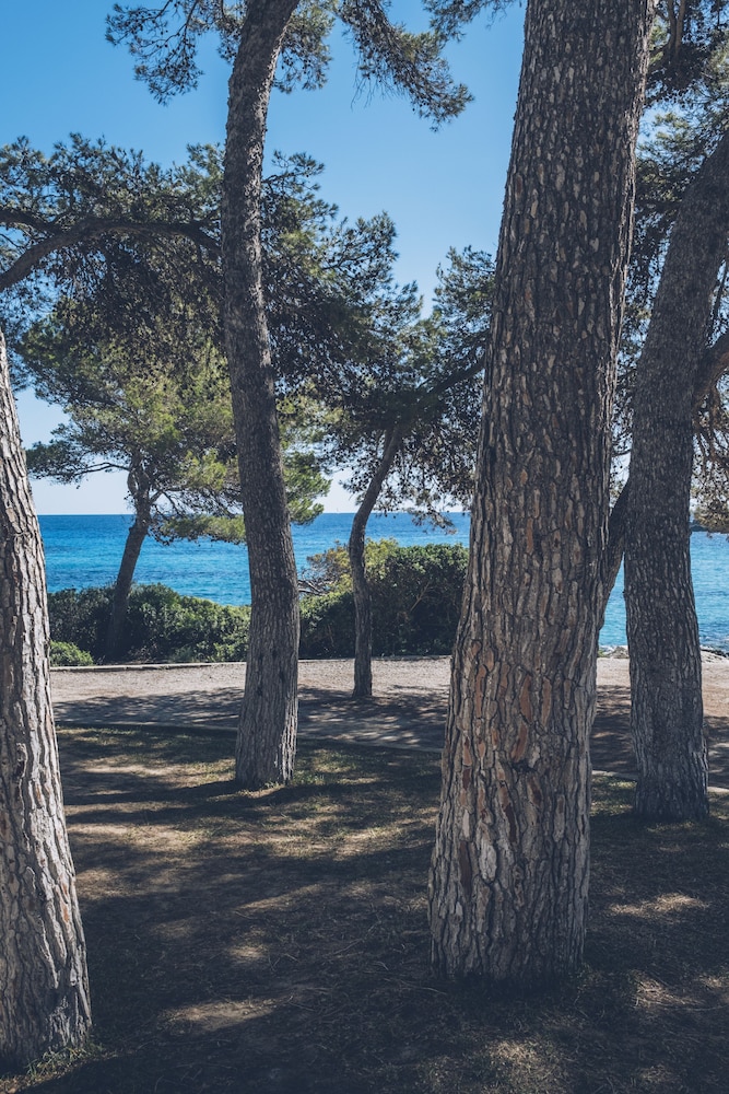 Iberostar Waves Pinos Park — Beach in Capdepera, Balearic Islands