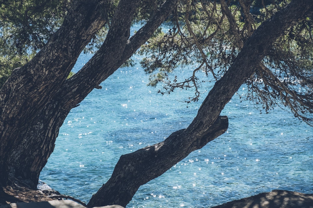 Iberostar Waves Pinos Park — Beach in Capdepera, Balearic Islands