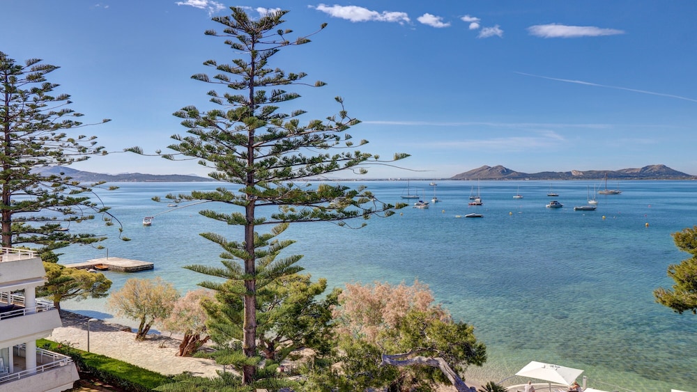 Hotel Illa D'Or — Attractions in the area in Puerto Pollensa, Balearic Islands
