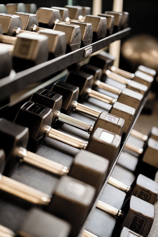 Hyatt Centric French Quarter New Orleans — Sports & recreation in New Orleans, Louisiana