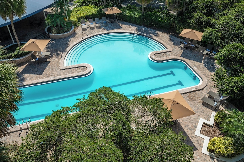 Sheraton Tampa Brandon Hotel — Swimming pool in Tampa, Florida
