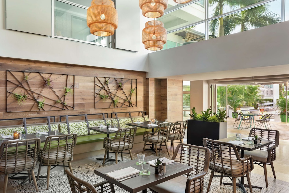 Hotel Alba, Tapestry Collection by Hilton — Restaurant & bars in Tampa, Florida