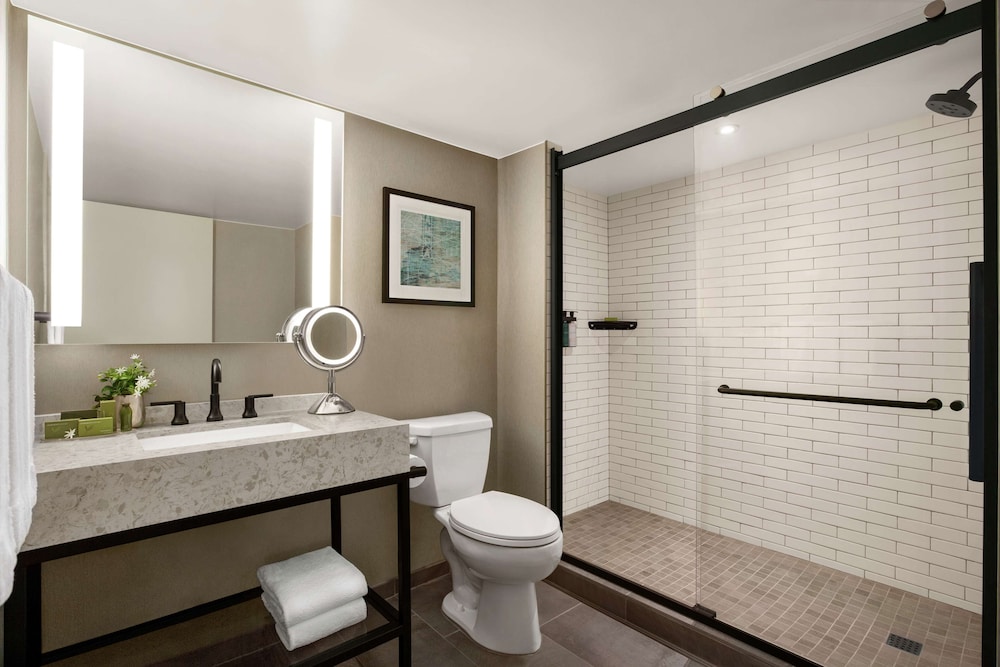 Hotel Alba, Tapestry Collection by Hilton — Hotel rooms in Tampa, Florida