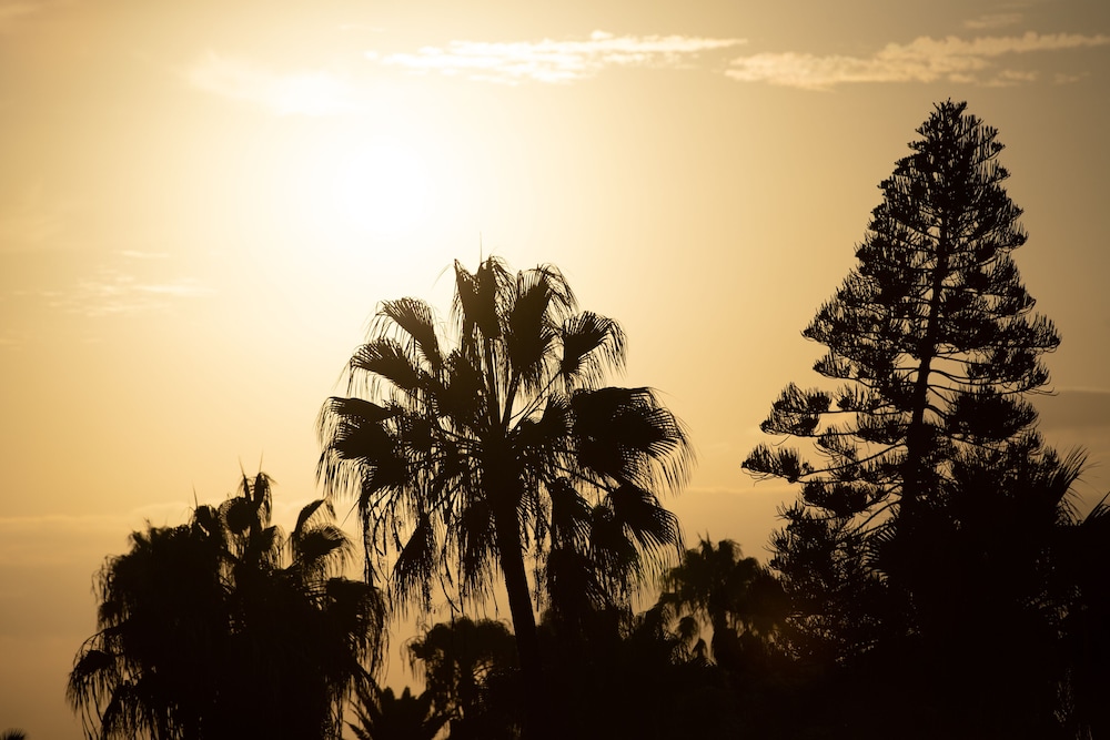 Apartamentos Fuentepark — Attractions in the area in Corralejo, Canary Islands
