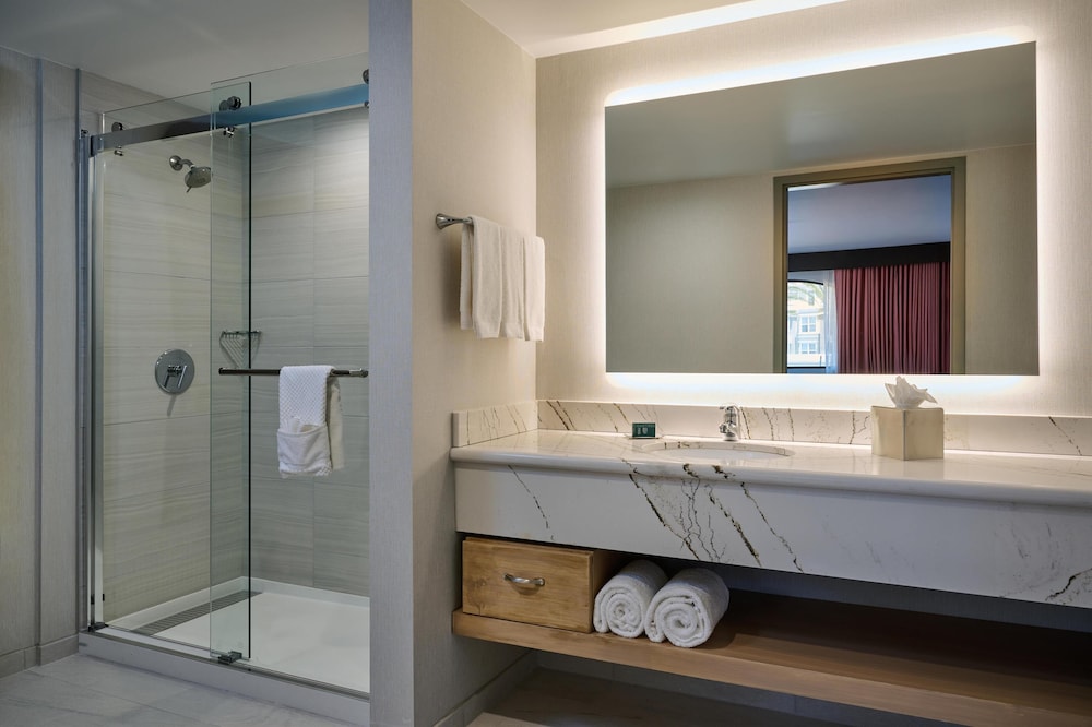 Hotel Zessa Orange County Airport, a DoubleTree by Hilton — Hotel rooms in Santa Ana, California