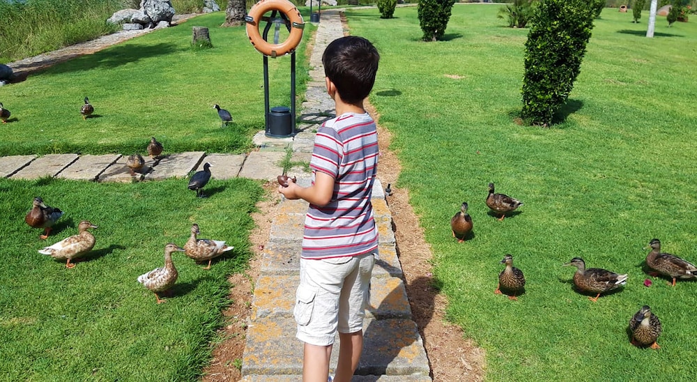Eix Lagotel Holiday Resort — Attractions for children in Playa de Muro, Balearic Islands