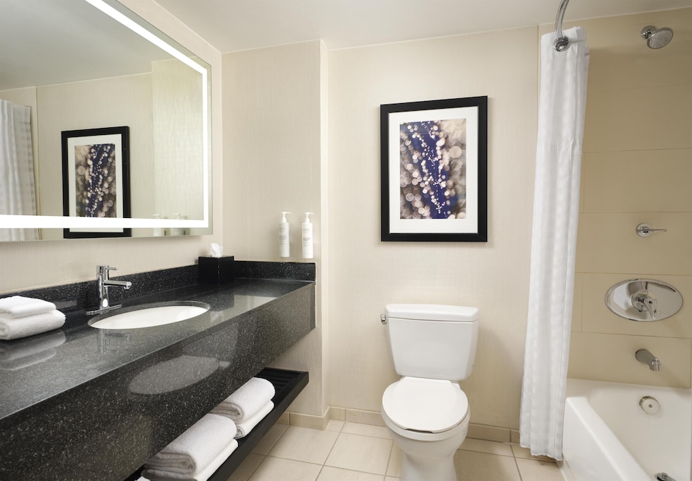 Embassy Suites by Hilton Chicago Downtown Magnificent Mile — Hotel rooms in Chicago, Illinois