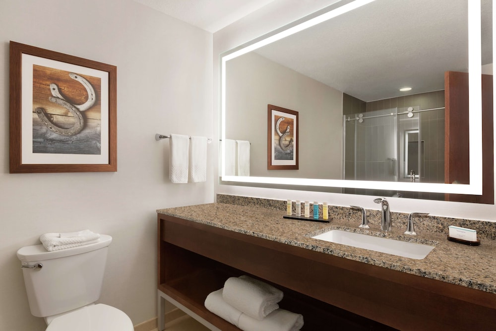 Embassy Suites by Hilton Dallas DFW Airport North — Hotel rooms in Grapevine, Texas
