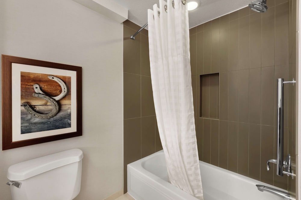Embassy Suites by Hilton Dallas DFW Airport North — Hotel rooms in Grapevine, Texas