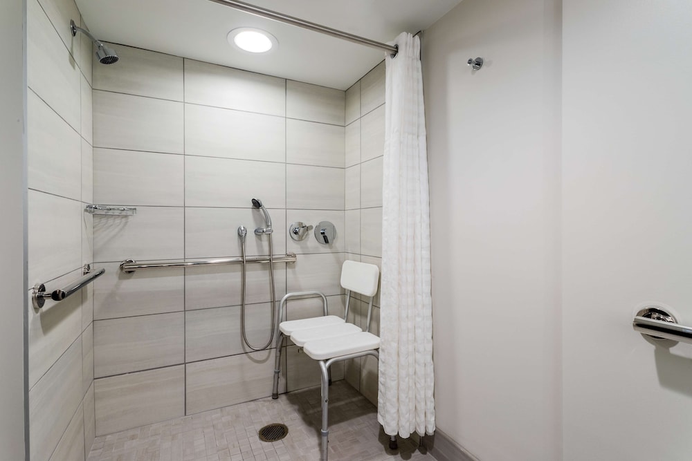Embassy Suites by Hilton Tampa USF Near Busch Gardens — Hotel rooms in Tampa, Florida