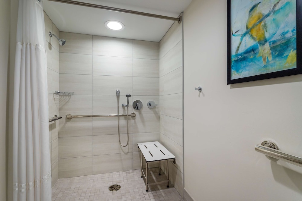 Embassy Suites by Hilton Tampa USF Near Busch Gardens — Hotel rooms in Tampa, Florida