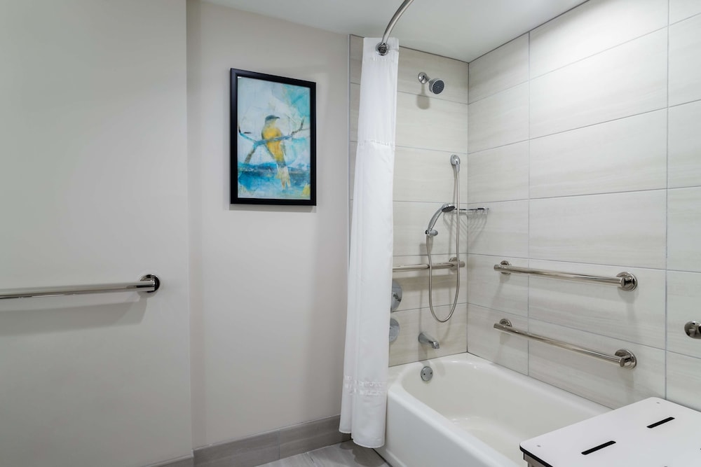 Embassy Suites by Hilton Tampa USF Near Busch Gardens — Hotel rooms in Tampa, Florida
