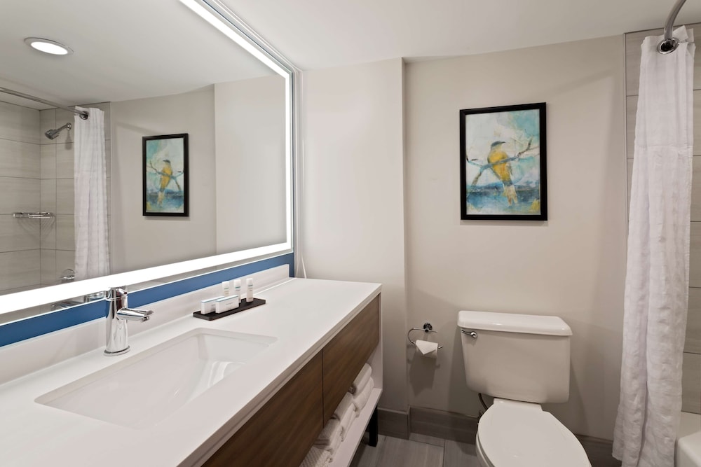 Embassy Suites by Hilton Tampa USF Near Busch Gardens — Hotel rooms in Tampa, Florida