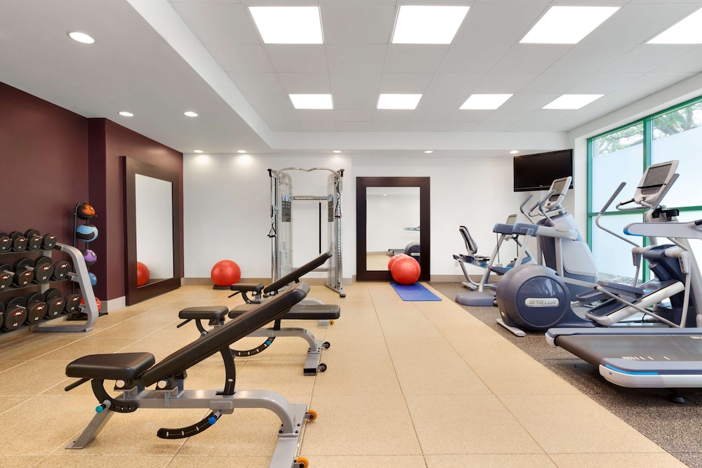 Embassy Suites by Hilton Tampa USF Near Busch Gardens — Sports & recreation in Tampa, Florida