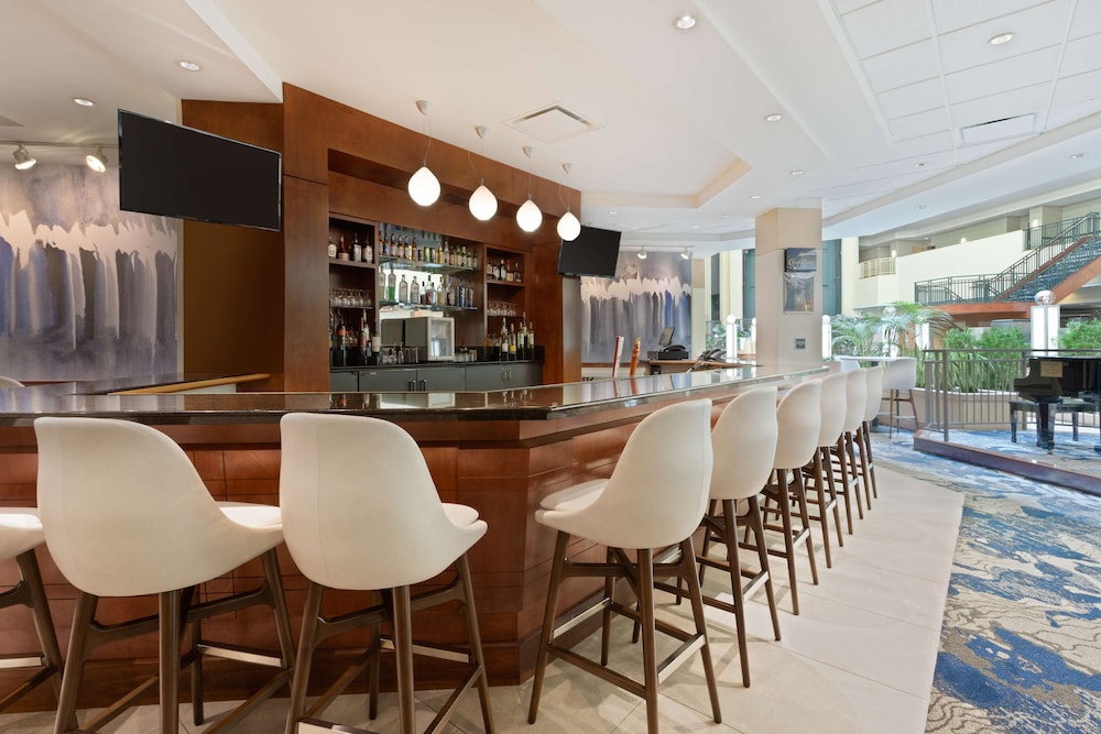 Embassy Suites by Hilton Tampa USF Near Busch Gardens — Restaurant & bars in Tampa, Florida